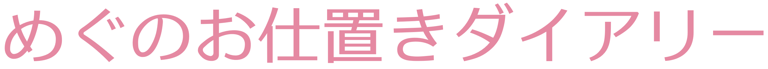 めぐのお仕置きダイアリー